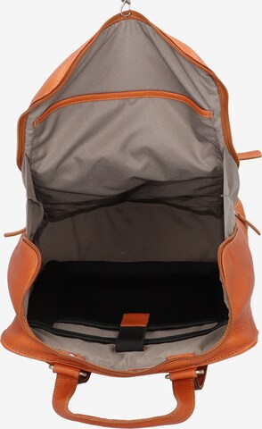 Harold's Backpack 'Campo' in Brown