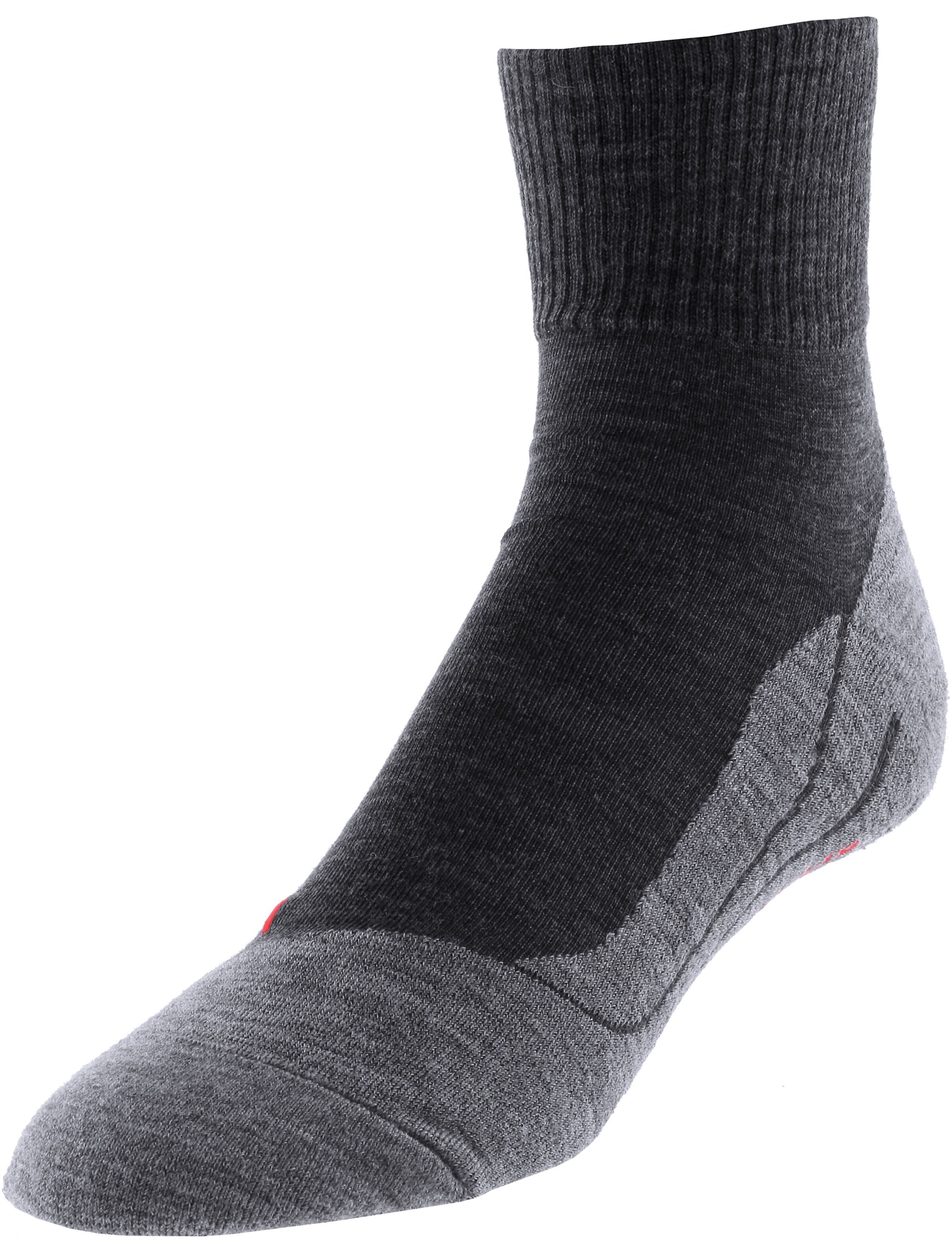 Chaussettes de sport FALKE en gris : devant