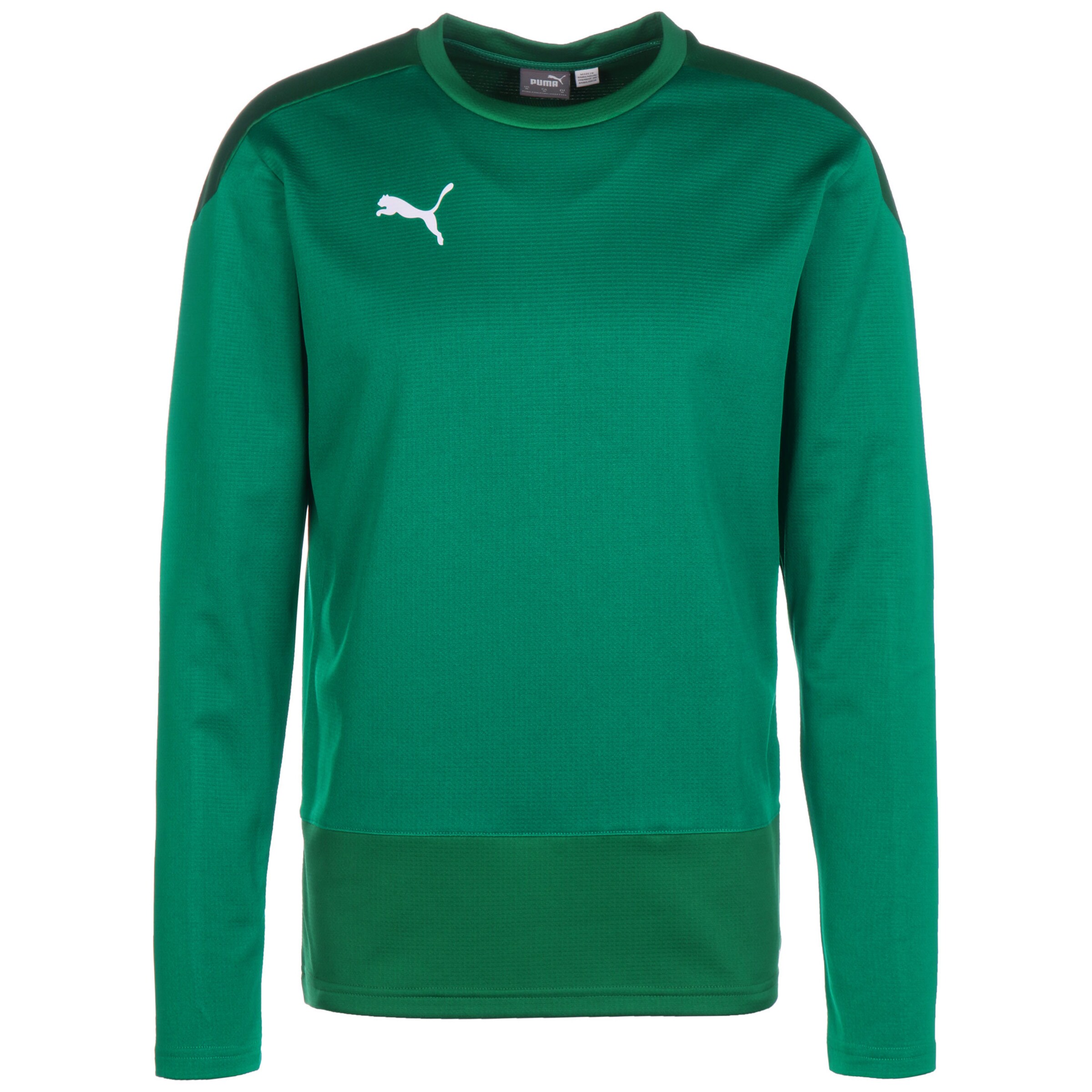 PUMA Athletic Sweatshirt 'TeamGOAL 23' in Green: front