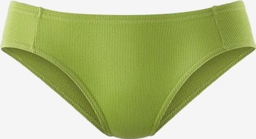 Slip di PETITE FLEUR in colori misti