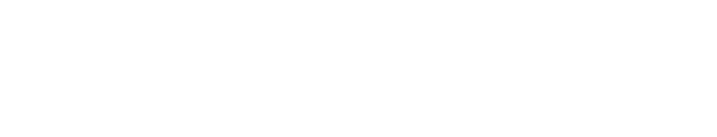 Champion Authentic Athletic Apparel Logo