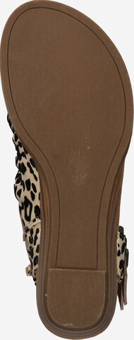 Blowfish Malibu Sandals 'Balla' in Brown