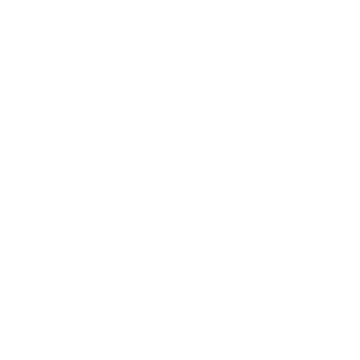 Wolky Logo