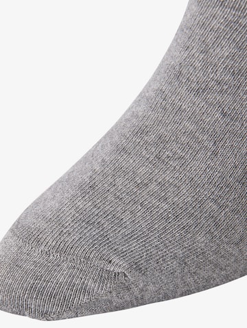 TOM TAILOR Ponožky – šedá