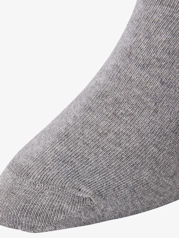 TOM TAILOR Socks in Grey