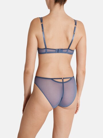 PALMERS Push-up BH 'Gypsy Ornament' in Blau: Rückseite