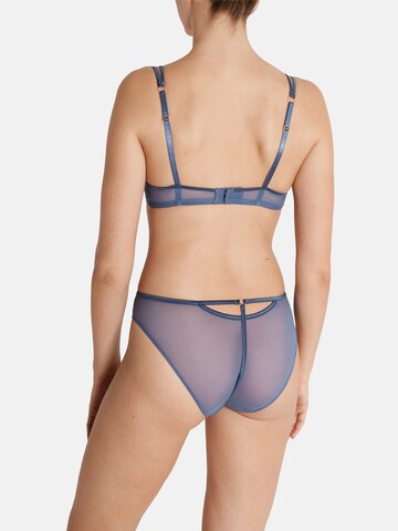 PALMERS Push-up BH 'Gypsy Ornament' in Blau: zadná strana