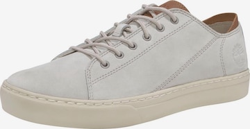 TIMBERLAND Sneaker in Grau: front