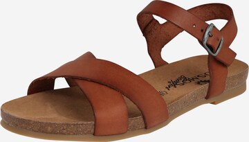 Sandales COSMOS COMFORT en marron : devant