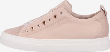 Paul Green Sneaker in Pink