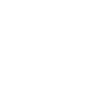 Next Logo