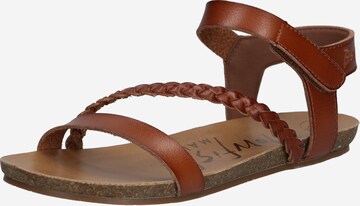 Blowfish Malibu Sandalen met riem 'GOYA' in Bruin: voorkant