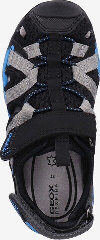 GEOX Sandals & Slippers in Black