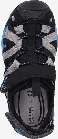 GEOX Sandalen in Schwarz