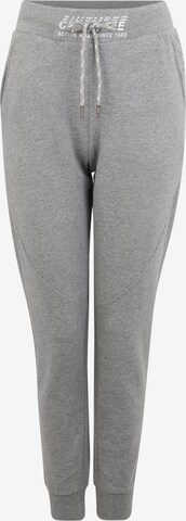 CHIEMSEE Tapered Sporthose in Grau: predná strana