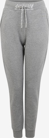 CHIEMSEE Zúžený Sportovní kalhoty – šedá: přední strana