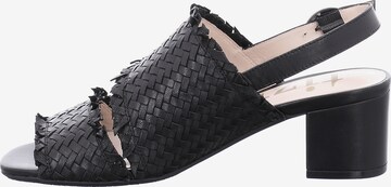 tizian Sandals in Black: front