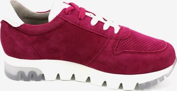 TAMARIS Sneakers laag 'Valla' in Roze