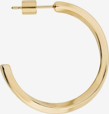 Liebeskind Berlin Earrings 'LJ-0366-E-32' in Gold