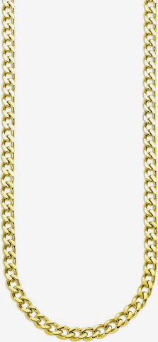 BRUNO BANANI Necklace in Gold: front