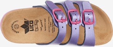 LICO Sandals 'BiolineI' in Purple