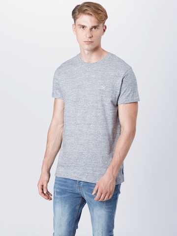 Iriedaily T-Shirt 'Chamisso' in Grau: predná strana
