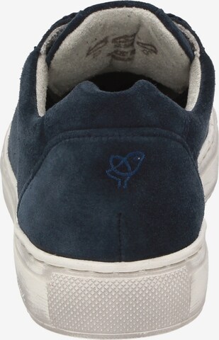 SIOUX Sneaker in Blau