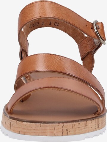 Paul Green Sandalen met riem in Bruin