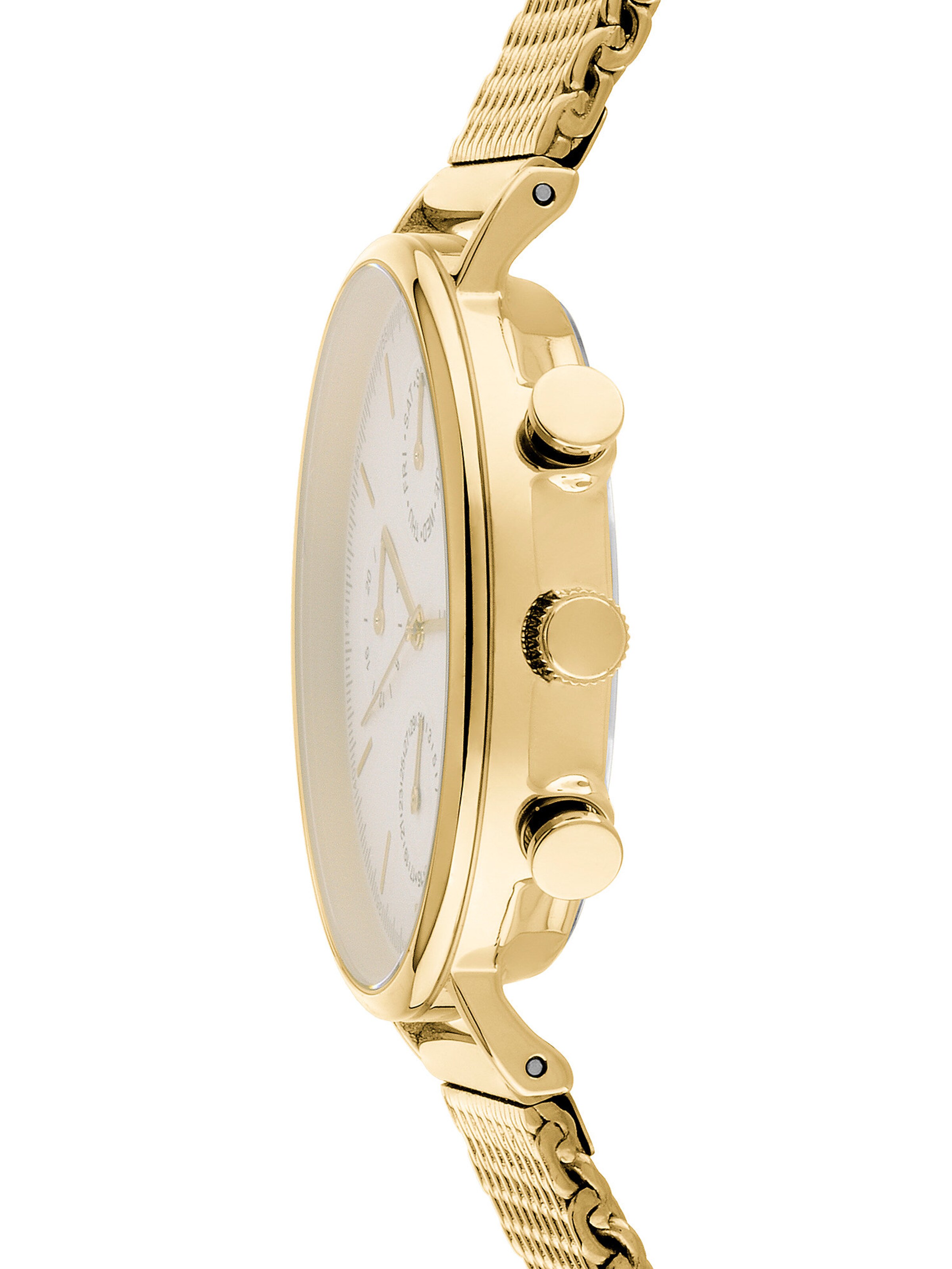 Liebeskind Berlin Analog watch in Gold