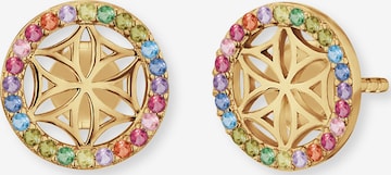 Engelsrufer Earrings 'Lebensblume' in Gold: front