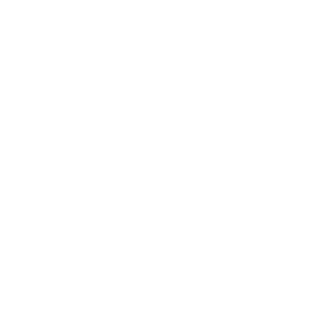 Denim Factory Logo