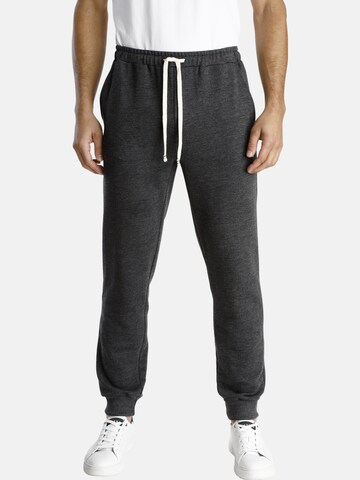 Regular Pantalon 'Emory' Jan Vanderstorm en gris : devant