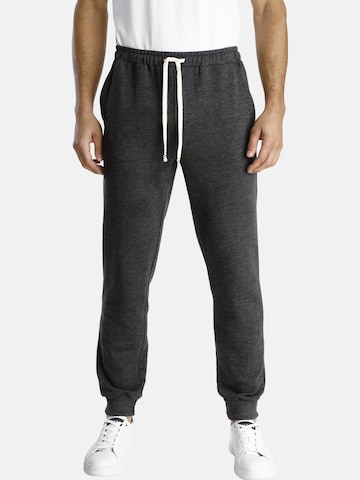 Jan Vanderstorm Regular Pants 'Emory' in Grey: front
