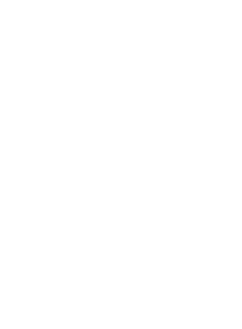 Spyder Logo