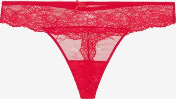 LingaDore Thong 'DAILY' in Red: front