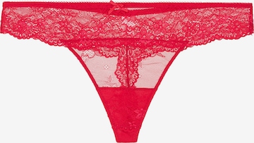 LingaDore Thong 'DAILY LACE' in Red: front