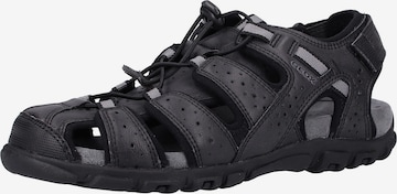 GEOX Hiking Sandals 'Strada' in Black: front