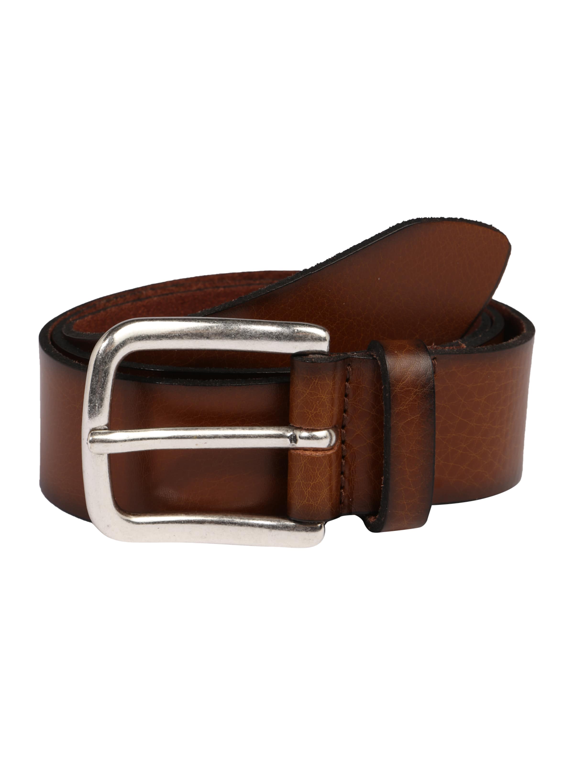 Curea de la VANZETTI pe maro: față