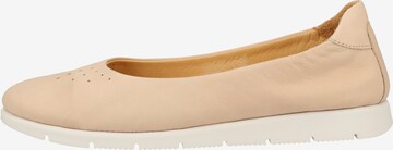 Darkwood Ballet Flats in Beige