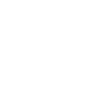 usha BLUE LABEL Logo