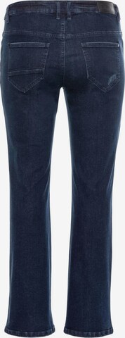 SHEEGO Bootcut Jeans in Blau