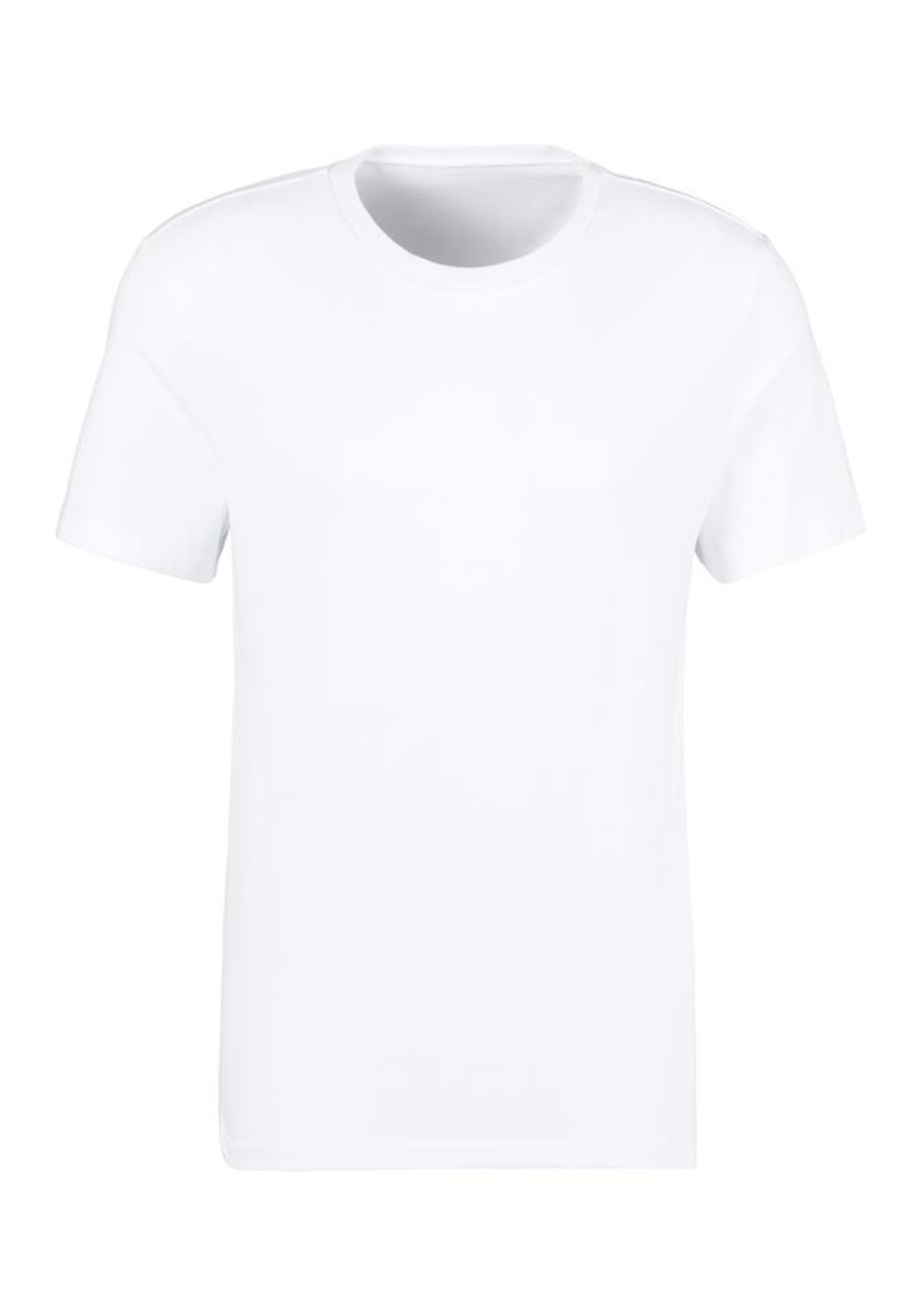 Bruno Banani Shirt in Grey