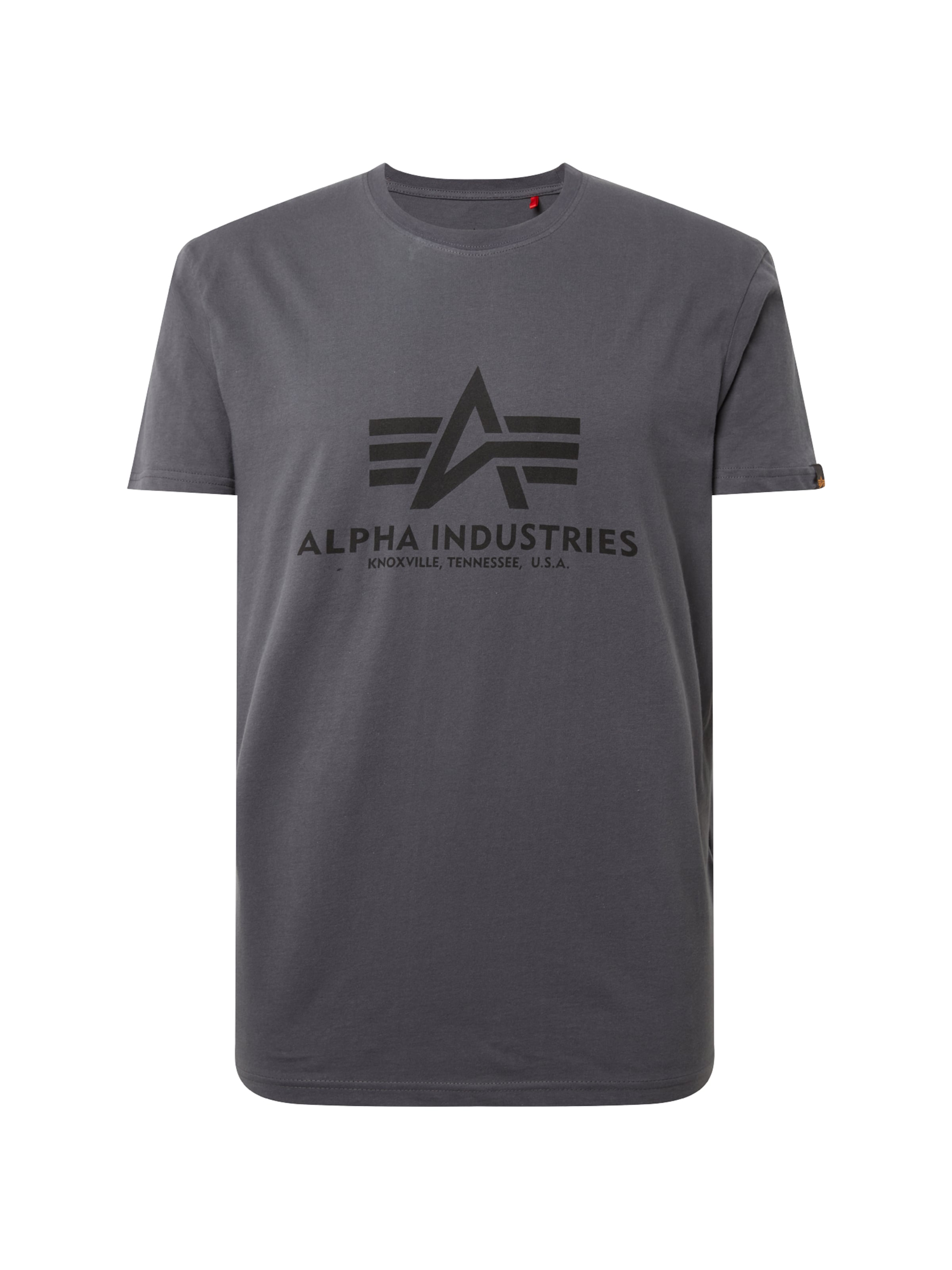 ALPHA INDUSTRIES Bluser & t-shirts i grå: forside