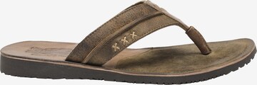 STOCKERPOINT T-Bar Sandals '1335' in Brown