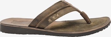 STOCKERPOINT T-Bar Sandals '1335' in Brown