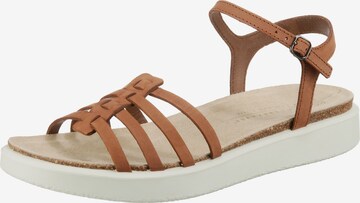 ECCO Sandalen met riem in Bruin: voorkant