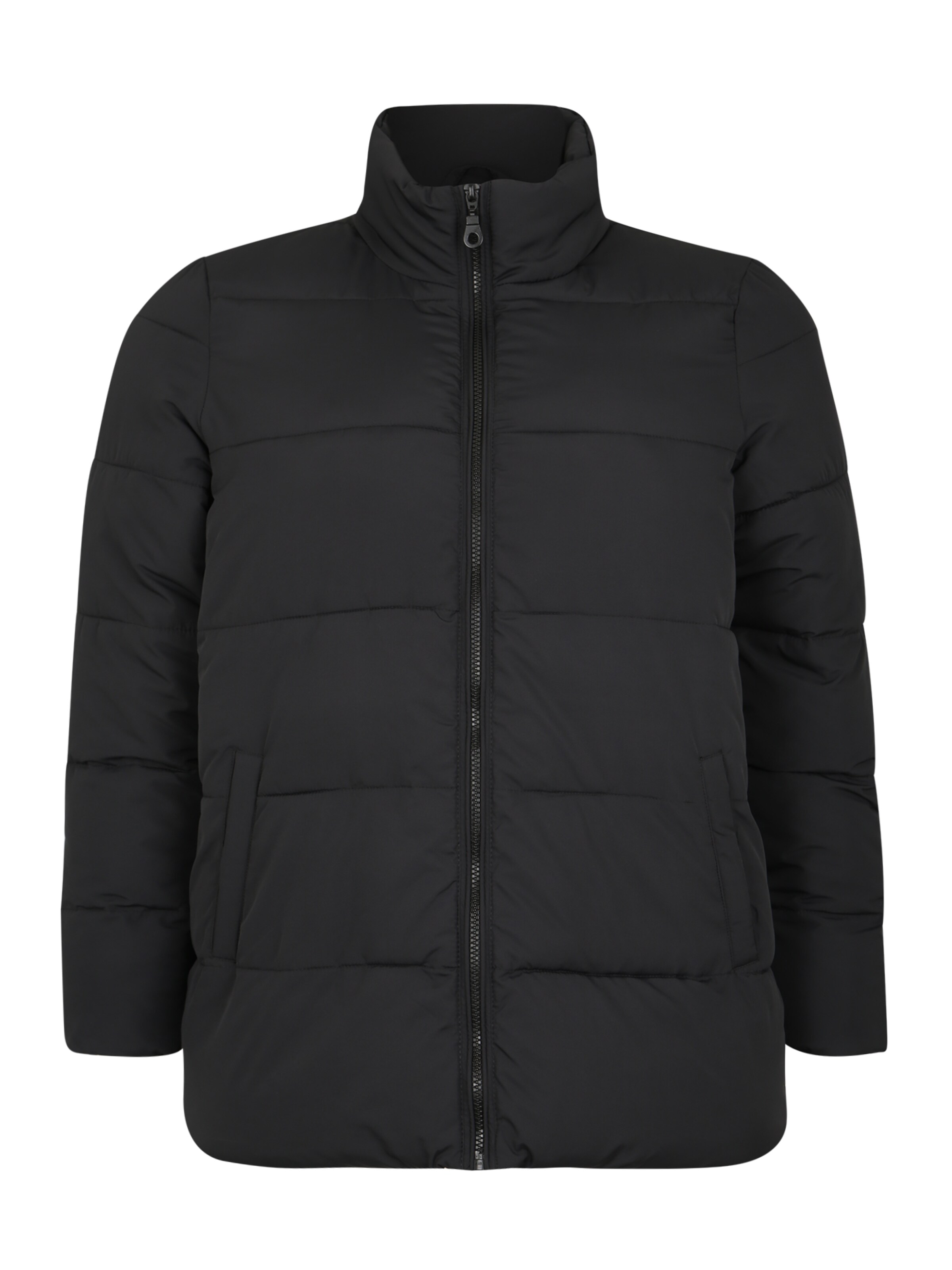 Zizzi - Winterjas 'ELMA' in de kleur Zwart