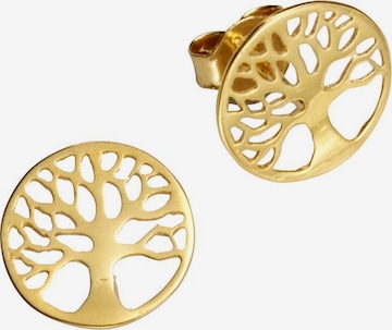 FIRETTI Earrings 'Lebensbaum' in Gold: front