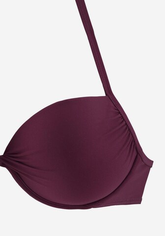 LASCANA Push-up Bikinitop 'Kati' in Lila