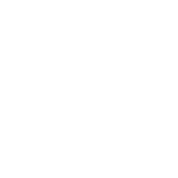 Surf Monkey Logo